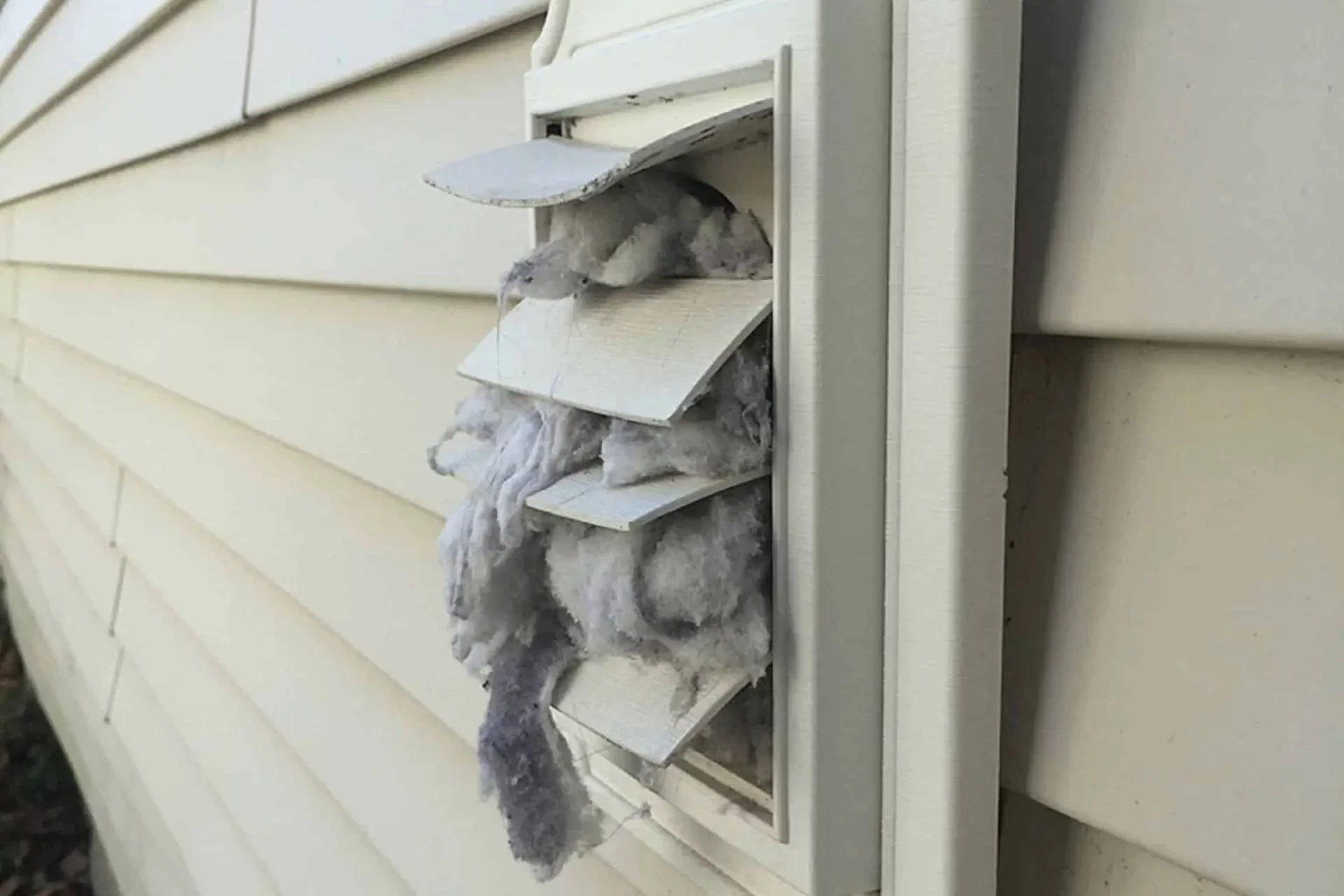 Residential dryer and dryer-vent cleaning service